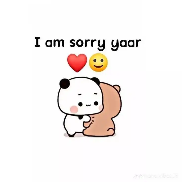 i am sorry photo